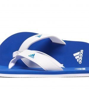 Adidas Beach Thong Flip Flops Valkoinen