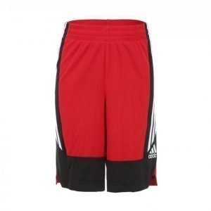 Adidas Commander Short Jr Treenishortsit Punainen