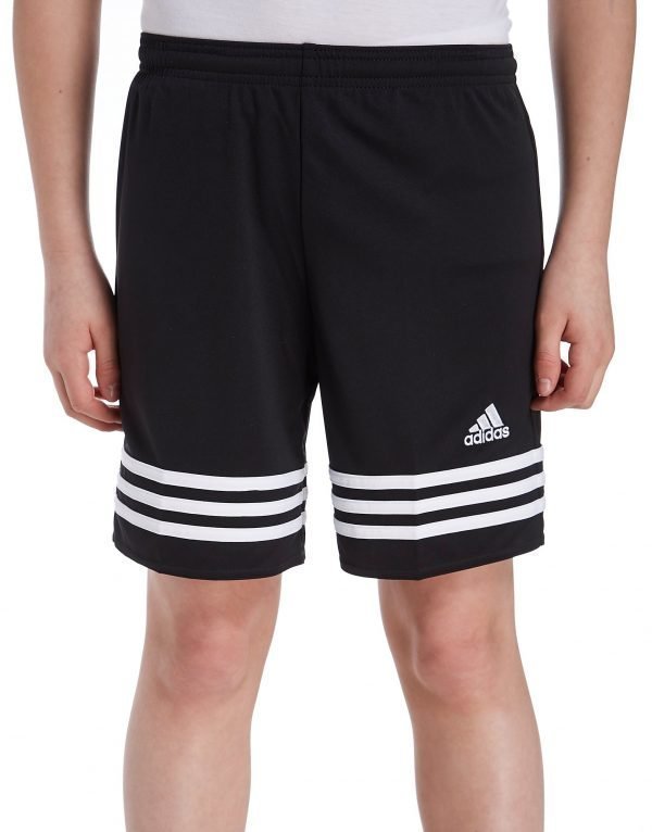 Adidas Entrada Shorts Musta