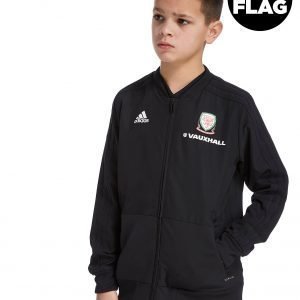 Adidas Fa Wales 2018/19 Presentation Jacket Punainen