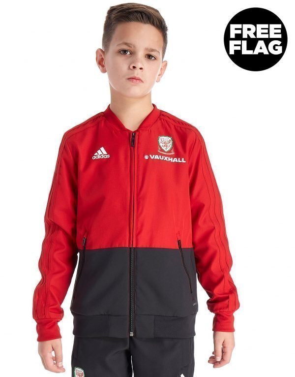 Adidas Fa Wales 2018/19 Presentation Jacket Punainen