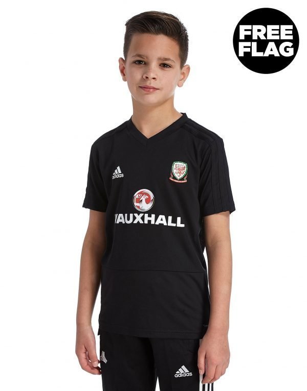 Adidas Fa Wales 2018/19 Training Shirt Musta