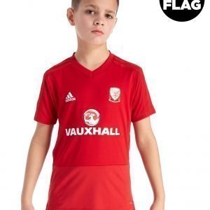 Adidas Fa Wales 2018/19 Training Shirt Punainen