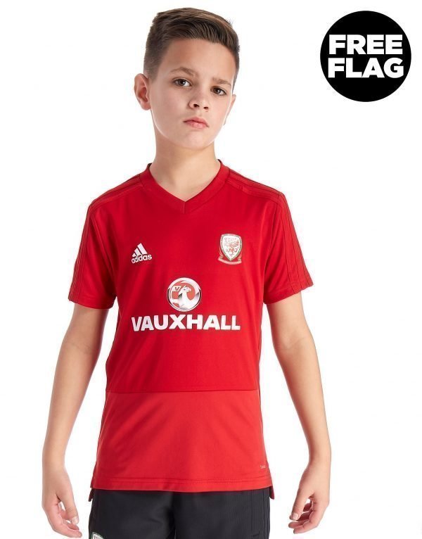 Adidas Fa Wales 2018/19 Training Shirt Punainen