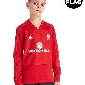 Adidas Fa Wales 2018/19 Training Top Punainen