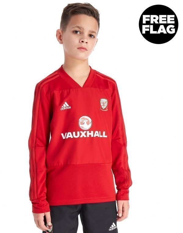 Adidas Fa Wales 2018/19 Training Top Punainen