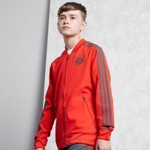 Adidas Fc Bayern Munich 18 / 19 Presentation Jacket Punainen