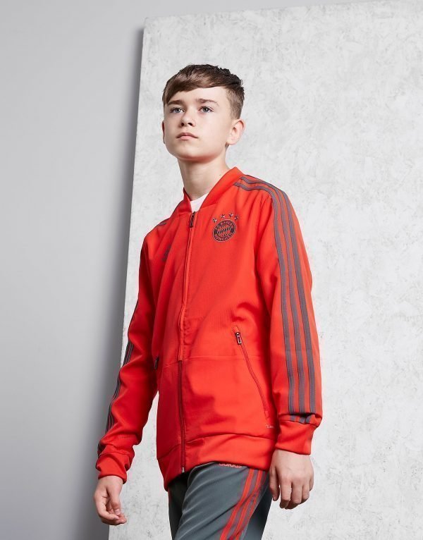 Adidas Fc Bayern Munich 18 / 19 Presentation Jacket Punainen