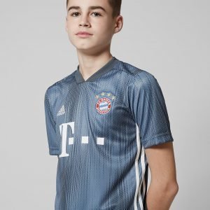 Adidas Fc Bayern Munich 2018/19 Third Shirt Harmaa