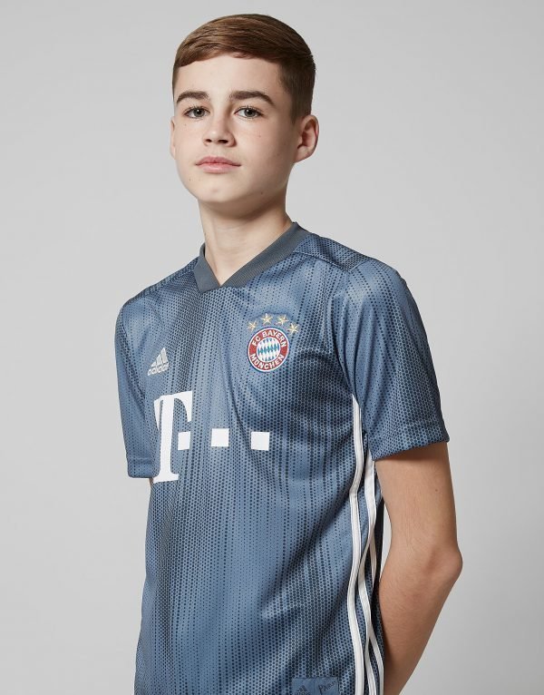 Adidas Fc Bayern Munich 2018/19 Third Shirt Harmaa