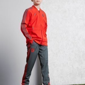 Adidas Fc Bayrn Munich 18 / 19 Presentation Pants Harmaa