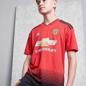 Adidas Manchester United Fc 2018/19 Kotipaita Punainen