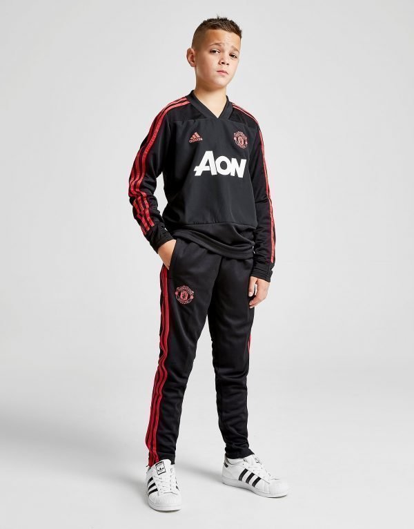 Adidas Manchester United Fc Training Pants Musta
