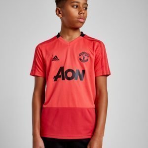 Adidas Manchester United Fc Training Shirt Vaaleanpunainen