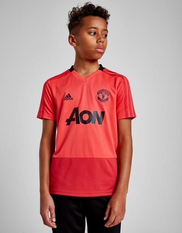 Adidas Manchester United Fc Training Shirt Vaaleanpunainen