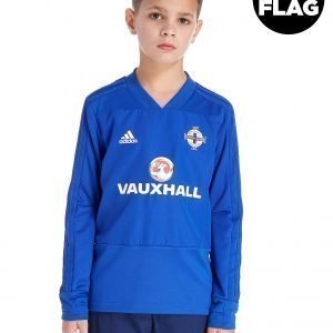 Adidas Northern Ireland 2018/19 Training Top Sininen