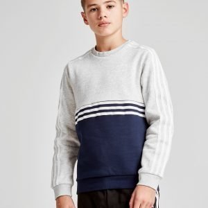 Adidas Originals Authentic Colour Block Crew Sweatshirt Harmaa