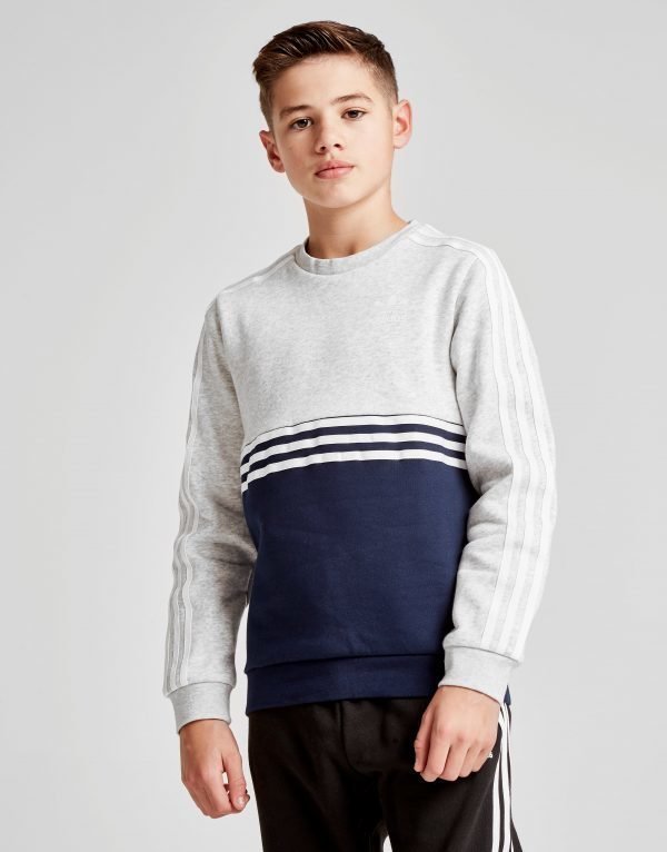Adidas Originals Authentic Colour Block Crew Sweatshirt Harmaa
