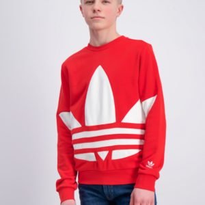 Adidas Originals Bg Trefoil Crew Neule Punainen