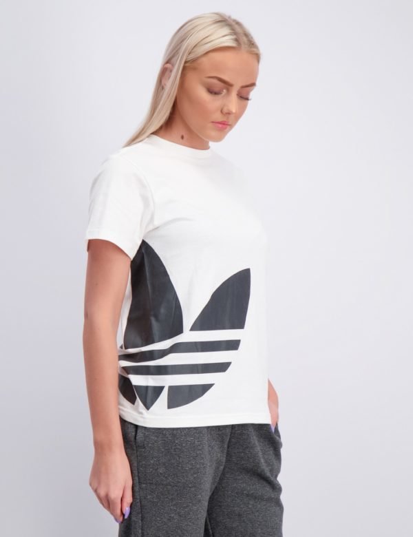 Adidas Originals Big Trefoil Tee T-Paita Valkoinen