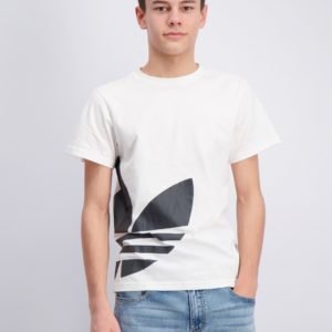 Adidas Originals Big Trefoil Tee T-Paita Valkoinen