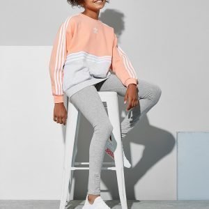 Adidas Originals Girls' Authentic Colour Block Crew Sweatshirt Jnr Coral / White / Grey