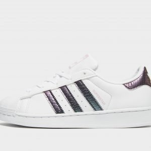 Adidas Originals Superstar Valkoinen