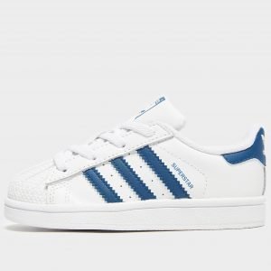 Adidas Originals Superstar Valkoinen