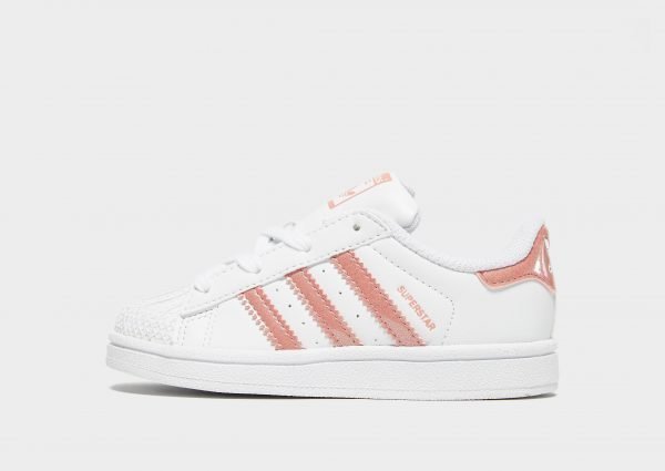 Adidas Originals Superstar Valkoinen