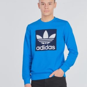 Adidas Originals Trefoil Crew Neule Kirjava