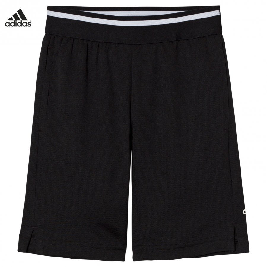 Adidas Performance Black Training Cool Shorts Urheilushortsit