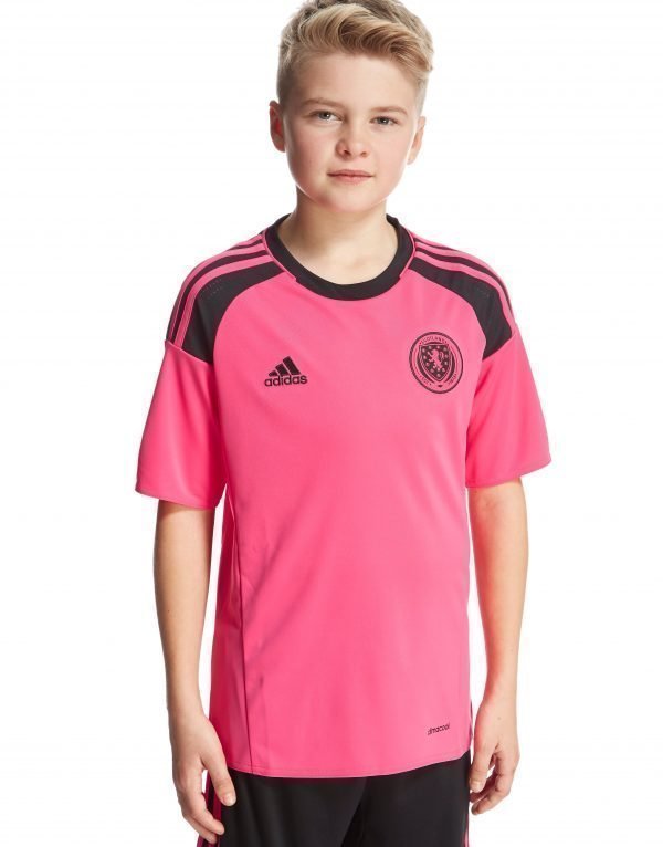 Adidas Scotland 2016 Away Shirt Vaaleanpunainen