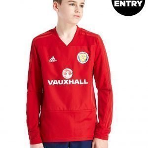 Adidas Scotland Fa 2018/19 Training Top Punainen