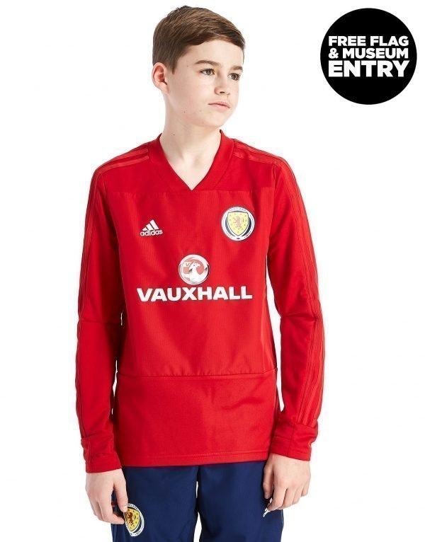 Adidas Scotland Fa 2018/19 Training Top Punainen