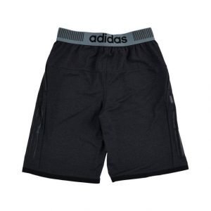 Adidas Shortsit