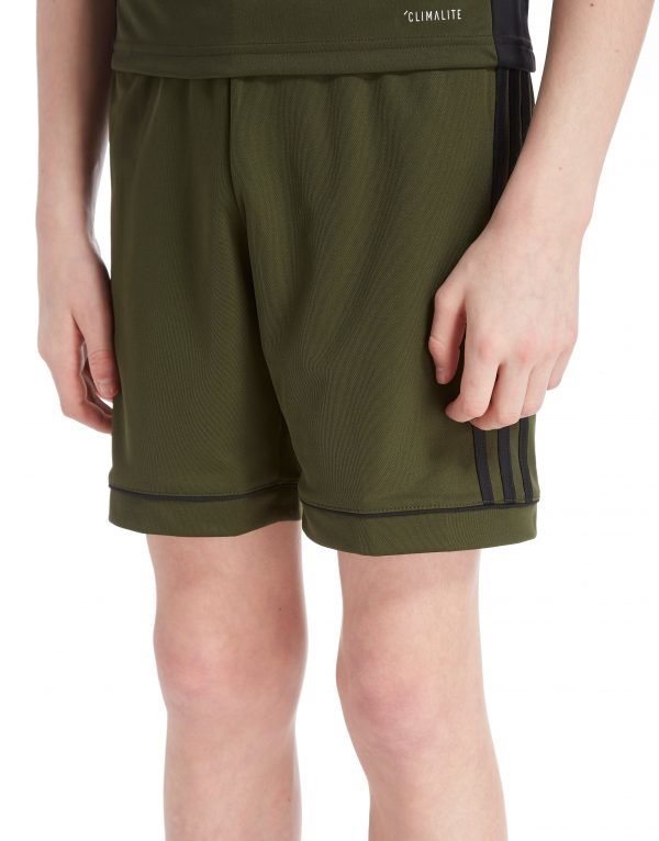 Adidas Squadra 17 Shorts Cargo