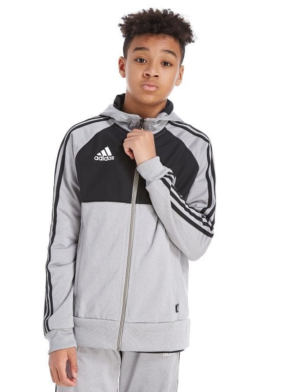 Adidas Tango Full Zip Hoodie Harmaa