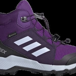 Adidas Terrex Mid Gtx Varsikengät