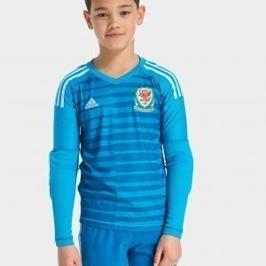 Adidas Wales 2018/19 Home Goalkeeper Shirt Aqua