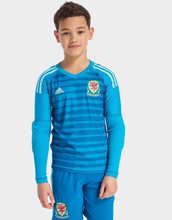 Adidas Wales 2018/19 Home Goalkeeper Shirt Aqua
