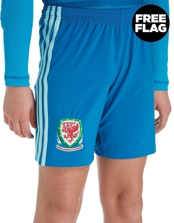 Adidas Wales 2018/19 Home Goalkeeper Shorts Sininen