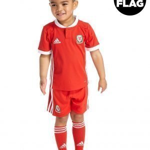 Adidas Wales 2018/19 Home Kit Punainen