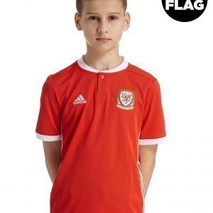 Adidas Wales 2018/19 Home Shirt Punainen