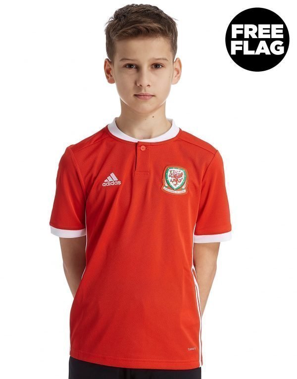 Adidas Wales 2018/19 Home Shirt Punainen