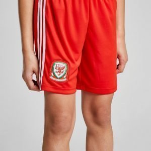 Adidas Wales 2018/19 Home Shorts Punainen