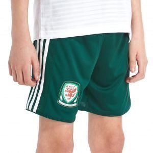 Adidas Wales Away 2018/19 Shorts Vihreä