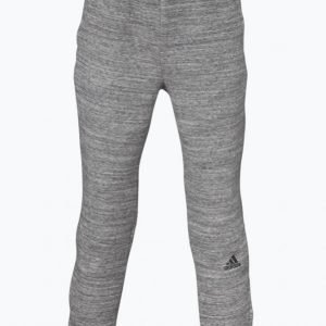 Adidas Yb Co Zne Pant Collegehousut