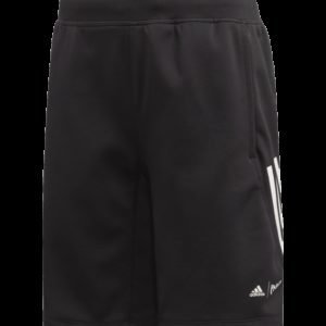 Adidas Yb Tr Par Short Treenishortsit