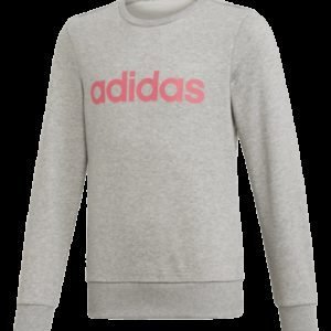 Adidas Yg E Lin Sweat