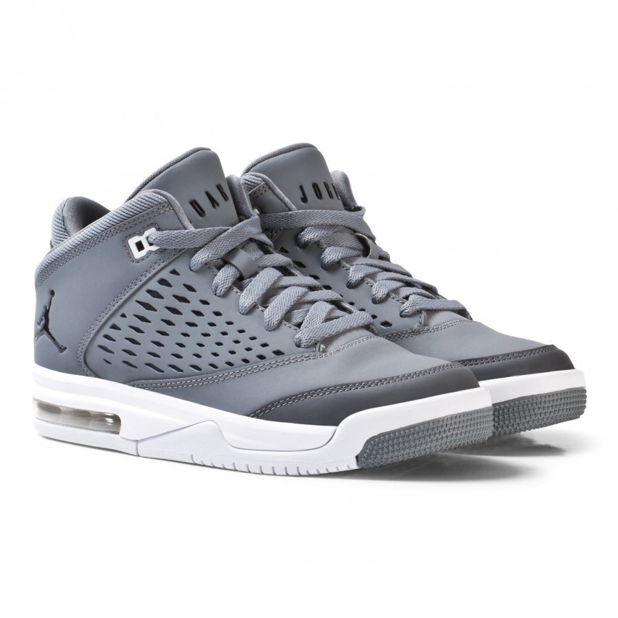 Air Jordan Flight Origin 4 Sneakers Grey Lenkkarit